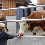Ferienbauernhof Storchenhaeusle * Simmershofen